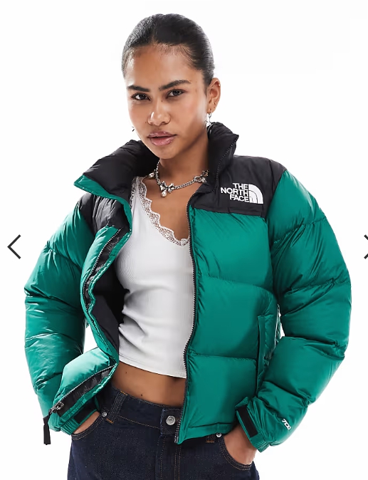 The North Face 1996 Retro Nuptse down puffer jacket in dark green and black