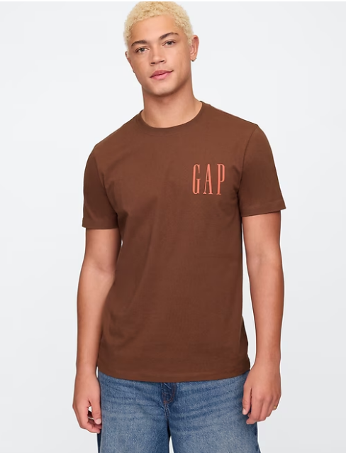 Everyday Soft Gap Graphic T-Shirt