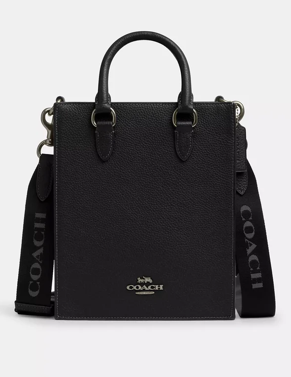 Coach dylan tote bag