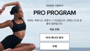 프로 300x169